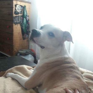 Meet your Posher, Scott